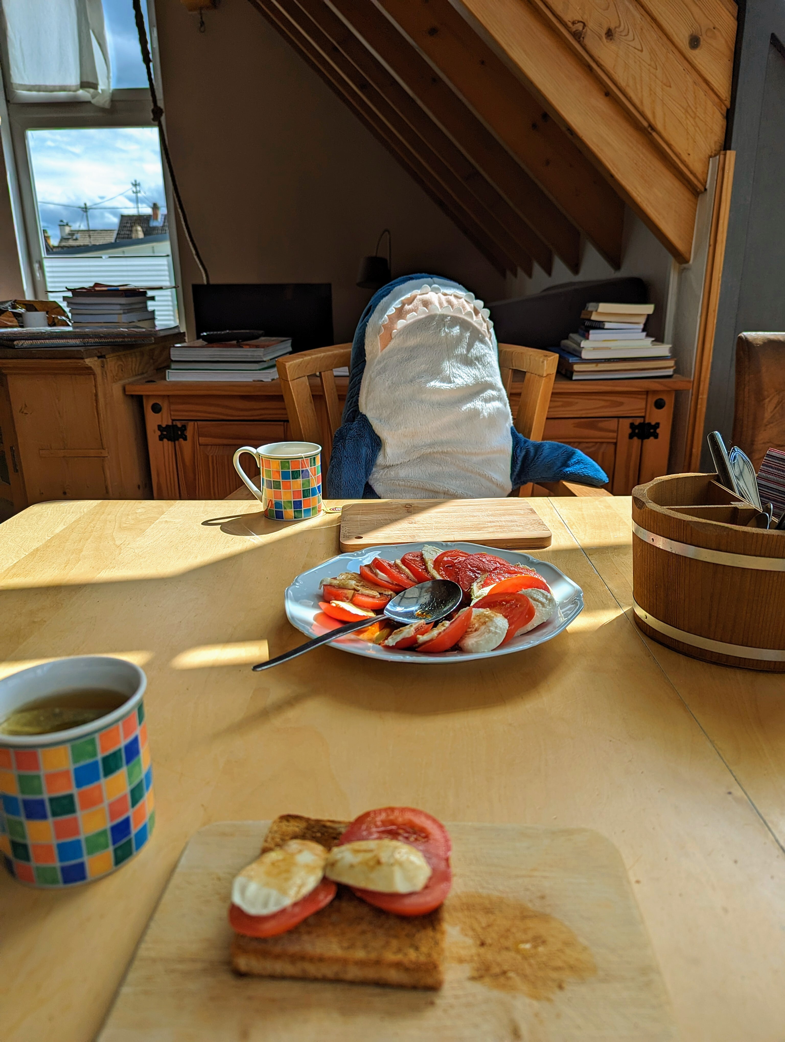 super comfi image of me and first person short of me and mister blahaj eating tomato mozarella breads with warm sunshine